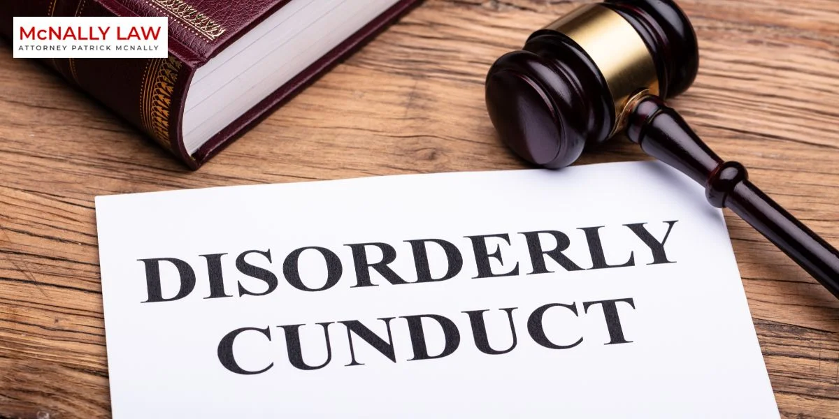 what is considered disorderly conduct in Nashville?